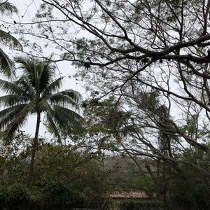 Meet your Posher, Marley